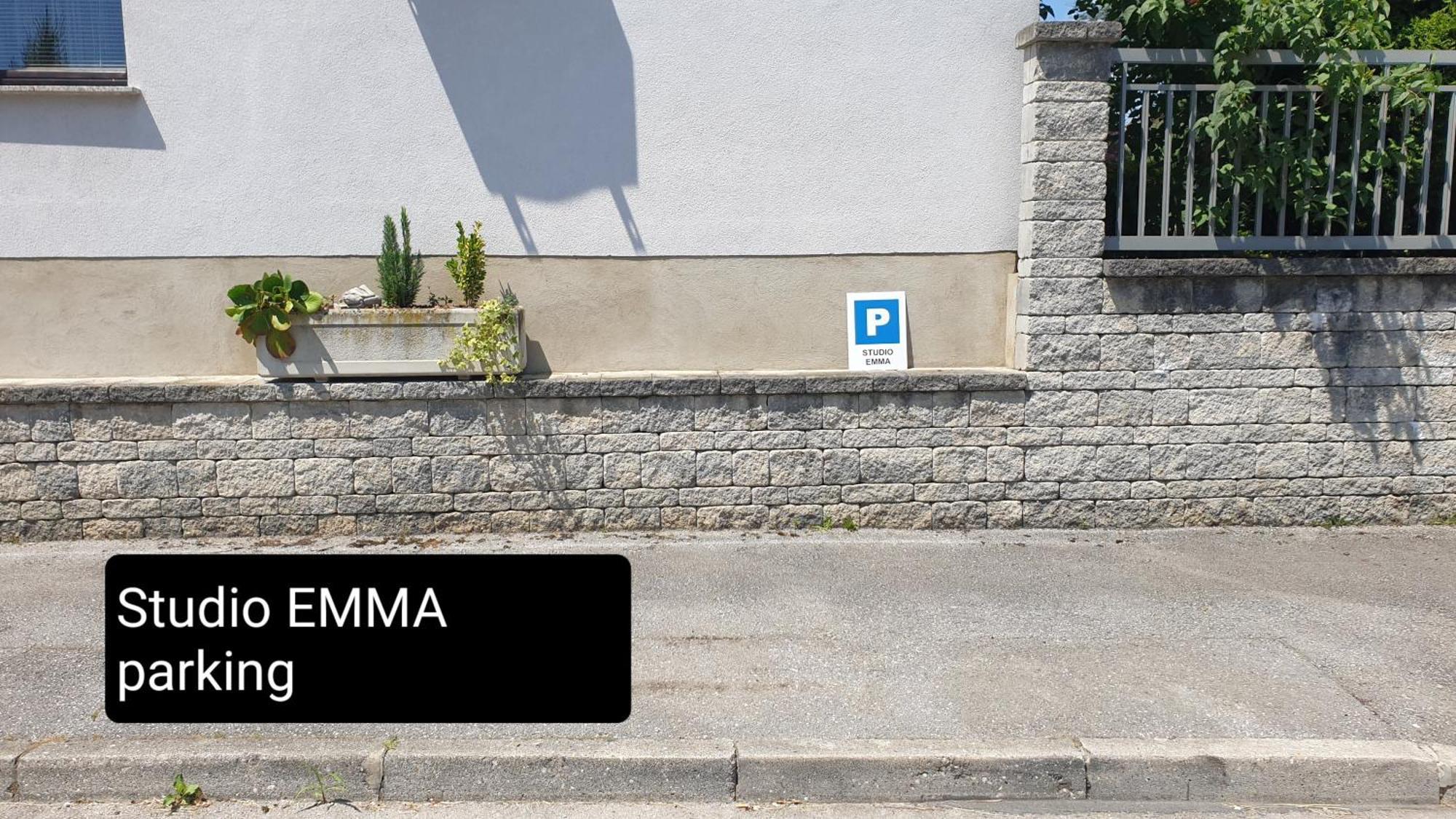 Studio Emma Ljubljana - Free Parking, Ac, Wifi Zewnętrze zdjęcie